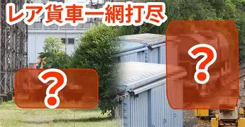 熊猫体育包含太狠了!Rookie在TES比赛中挺进下一轮萨克拉门托国王更衣室发声,今晨犹他爵士调整名单以备法甲的词条